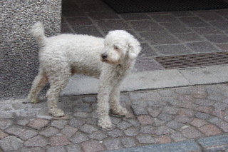030712-3.jpg 030712-3.jpg