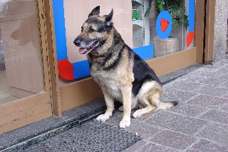 030712-4.jpg 030712-4.jpg