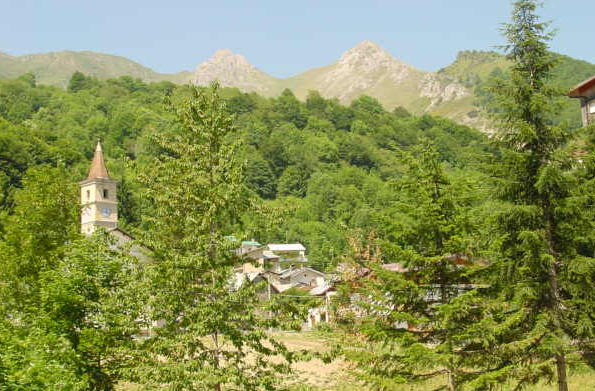 limonetto.jpg limonetto.jpg