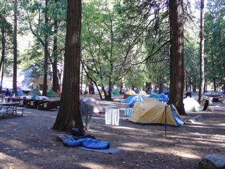 DSC00005.jpg DSC00005.jpg