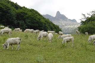 030705-2.jpg 030705-2.jpg