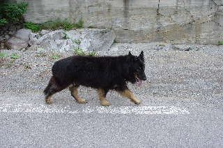 030705-3.jpg 030705-3.jpg