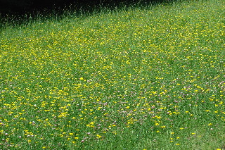 030706-3.jpg 030706-3.jpg