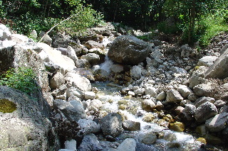 030707-5.jpg 030707-5.jpg